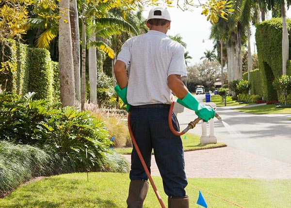 About Grelton OH Pest Control